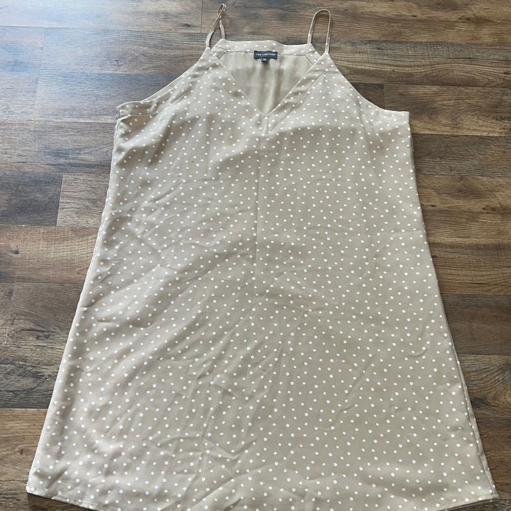 The Limited Beige Polka Dot Mini Dress